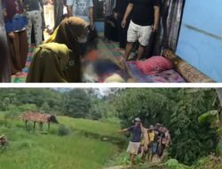 POLSEK PULAU PANGGUNG IDENTIFIKASI JENAZAH PETANI DI PERSAWAHAN PEKON TEKAD