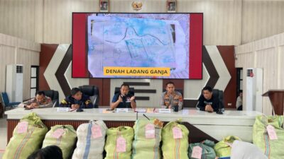 Komitmen Berantas Narkotika, Polda Sumsel Putus Rantai Produksi Ganja Skala Besar di Empat Lawang