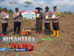 Sinergi Polri-Petani OKU, Lahan Sawit 5 Hektare Disulap Jadi Lumbung Jagung Ketahanan Pangan